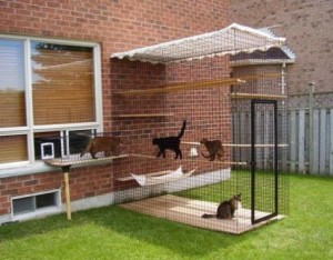 cat_enclosure_20-475x370