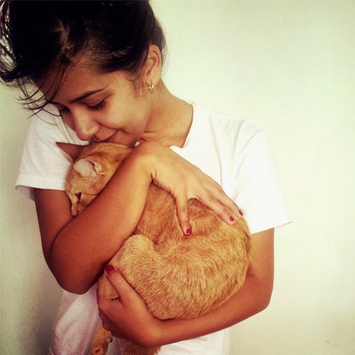 03_BLOG_cat hug love-710593_1920 500x500